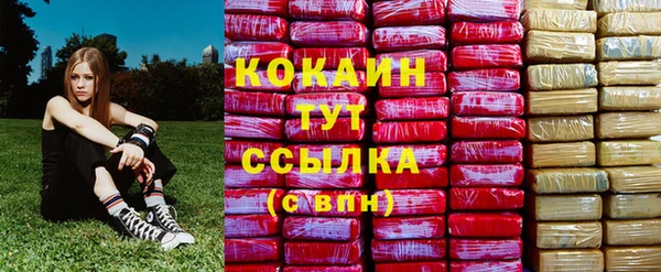 крисы Алексин