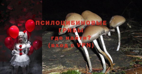 каннабис Алзамай