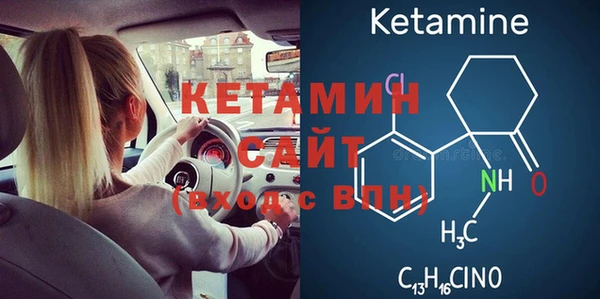 крисы Алексин